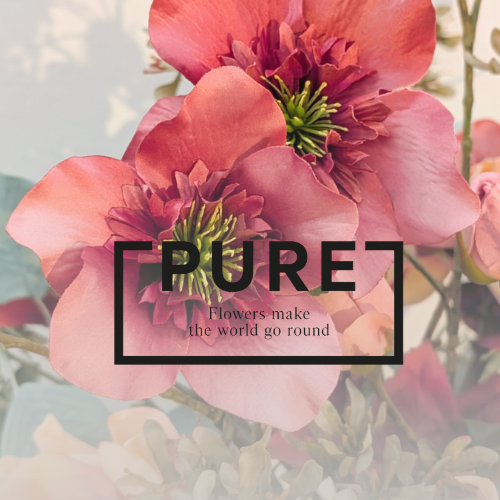 PURE, dé referentie in hoogwaardige zijden bloemen, kunstplanten en kunstbomen sinds 1989