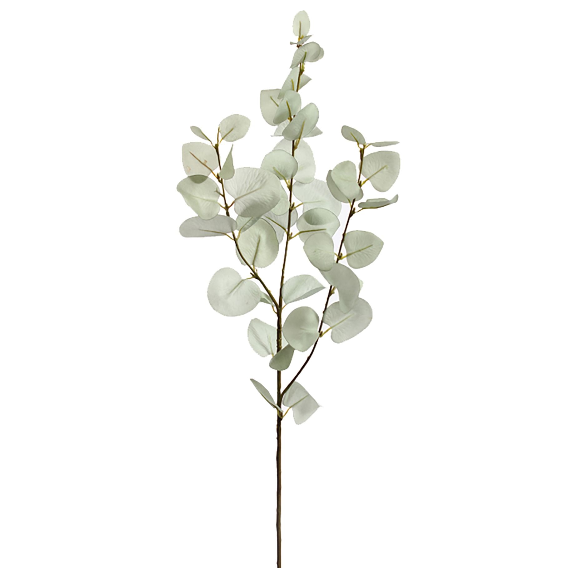 EUCALYPTUS SPRAY X3 77CM MINT - BBL12220008 MI
