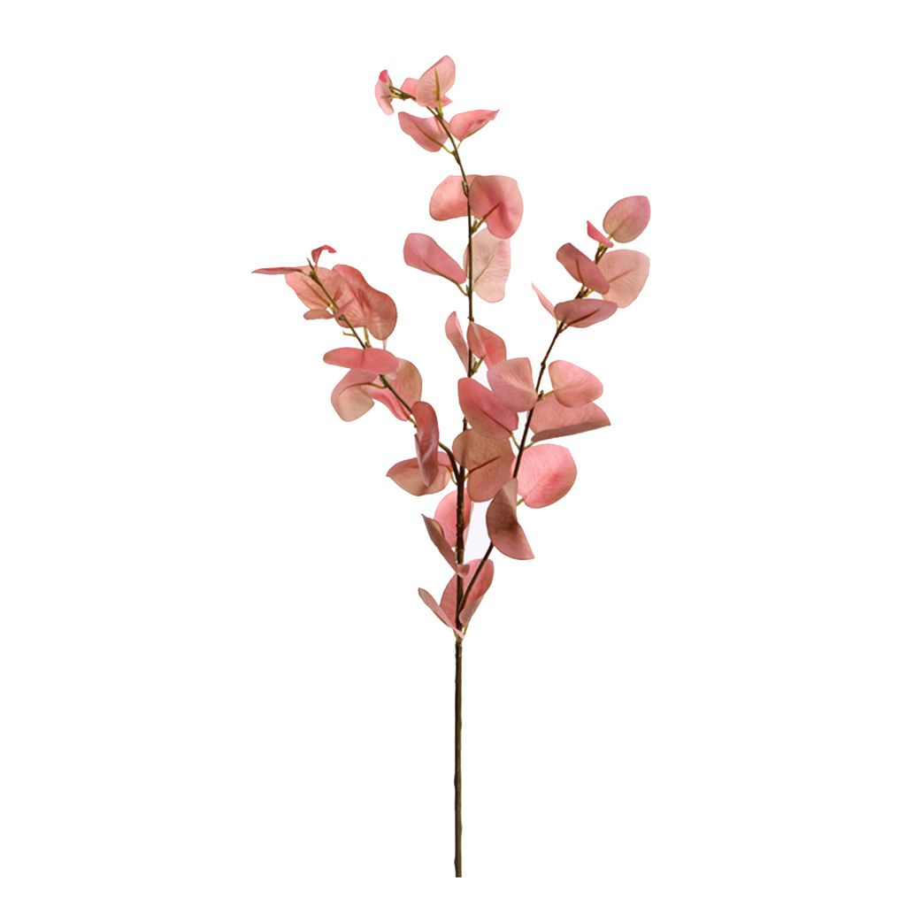EUCALYPTUS TAK X3 75CM