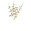 EUCALYPTUS 60CM - BBL12220012