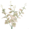 EUCALYPTUS 60CM - BBL12220012