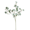 EUCALYPTUS 115CM GRIJS - BBL12220016