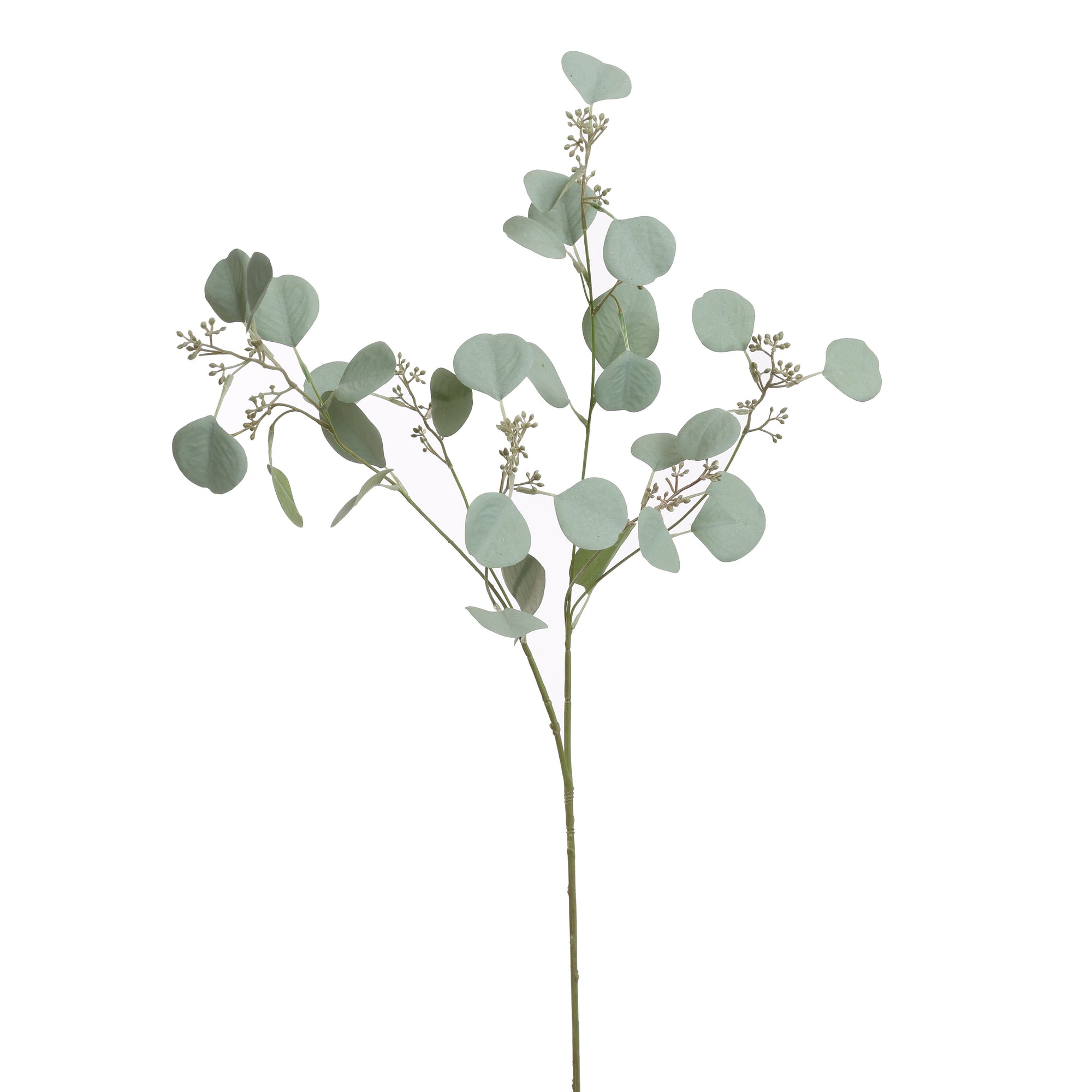 EUCALYPTUS 115CM GRIJS - BBL12220016