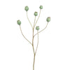 POPPY FRUIT SPRAY 79CM - BBL12250022