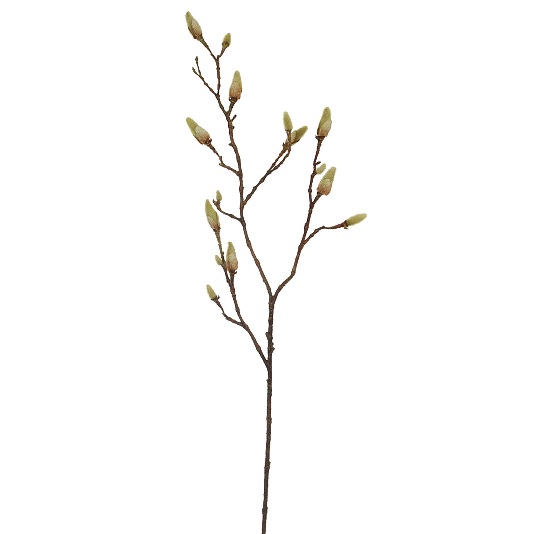 MAGNOLIA BUD SPRAY - BBL12260013