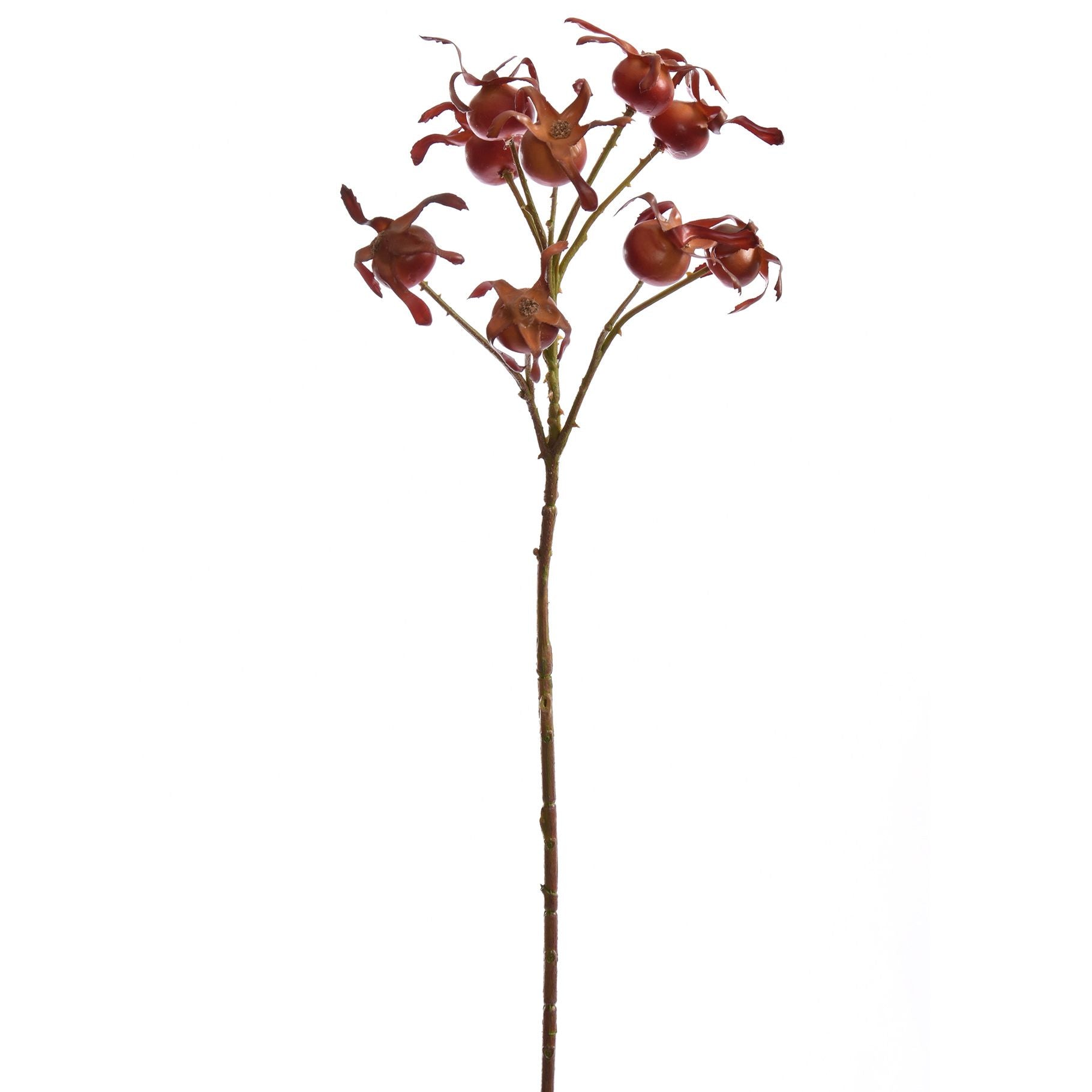 LARGE ROSEBERRY SPRAY 70CM - BBL12310024