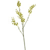 Mimosa Spray green GR70001421