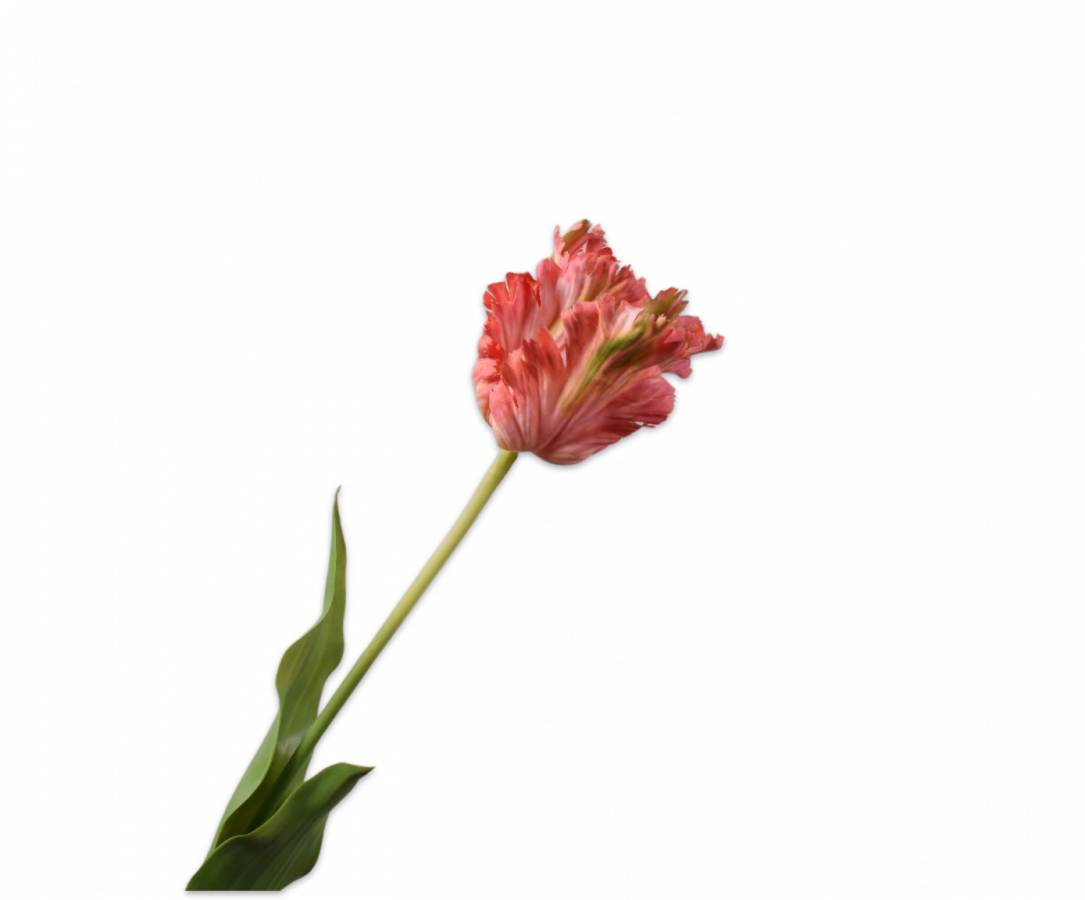 Real-touch Tulp - Rood 71cm - BBL157300