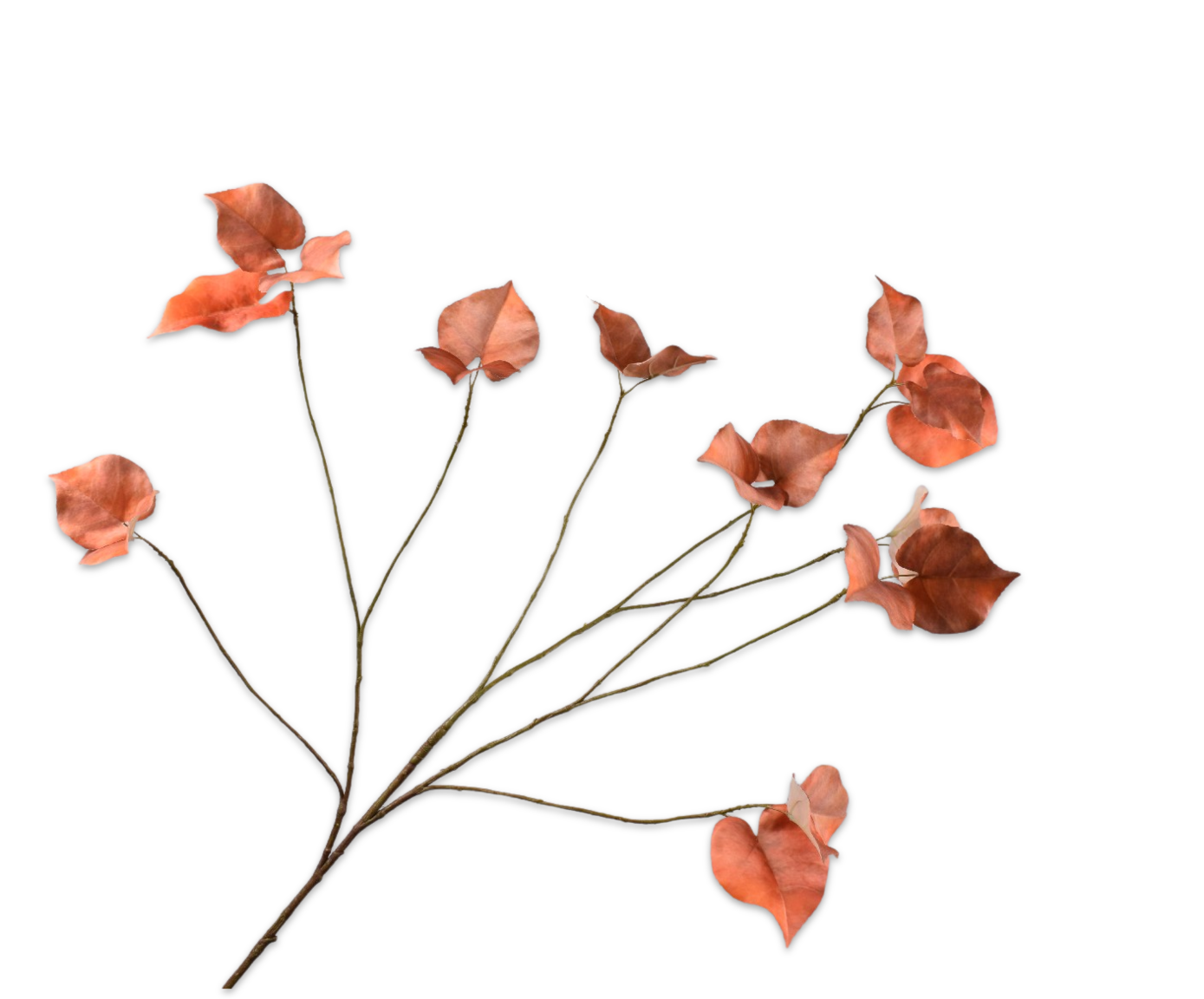 Bladtak ora/brn 123 cm   - BBL 8718648581158