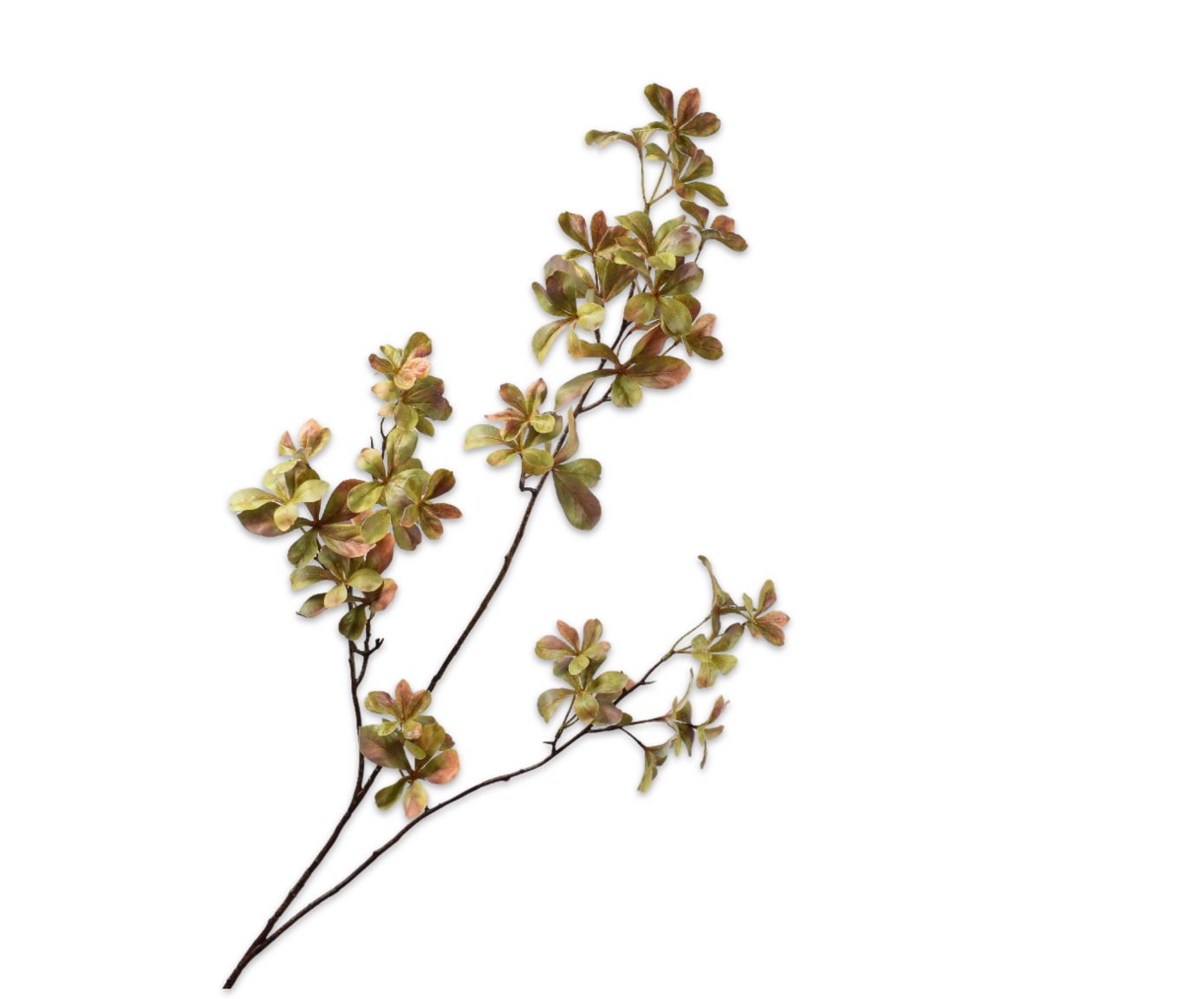 Bladtak grn/brn 111cm   - BBL 8718648588157