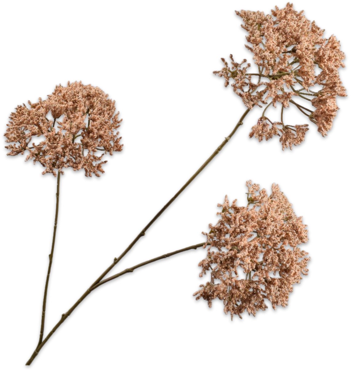 Trachelium tak brn/lt 85 cm    - BBL8718648591508