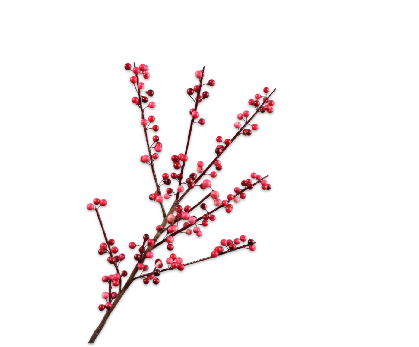 Bessentak roze/rood 84 cm   - BBL8718648594509