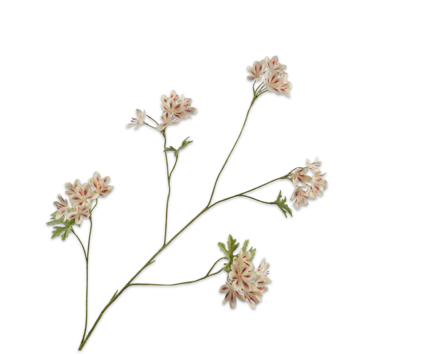 Geranium tak cr/brn 94 cm    - BBL8718648606431