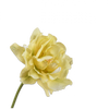 Real-touch Tulp - Geel 69cm - BBL161254