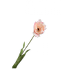 Real-touch Tulp - Crème Open RT 72cm - BBL161450