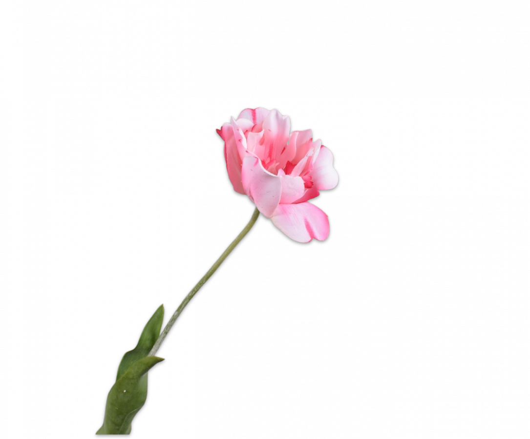 Real-touch Tulp - Roze Open RT 72cm - BBL161451