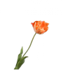 Real-touch Tulp - Oranje Open RT 72cm - BBL161454