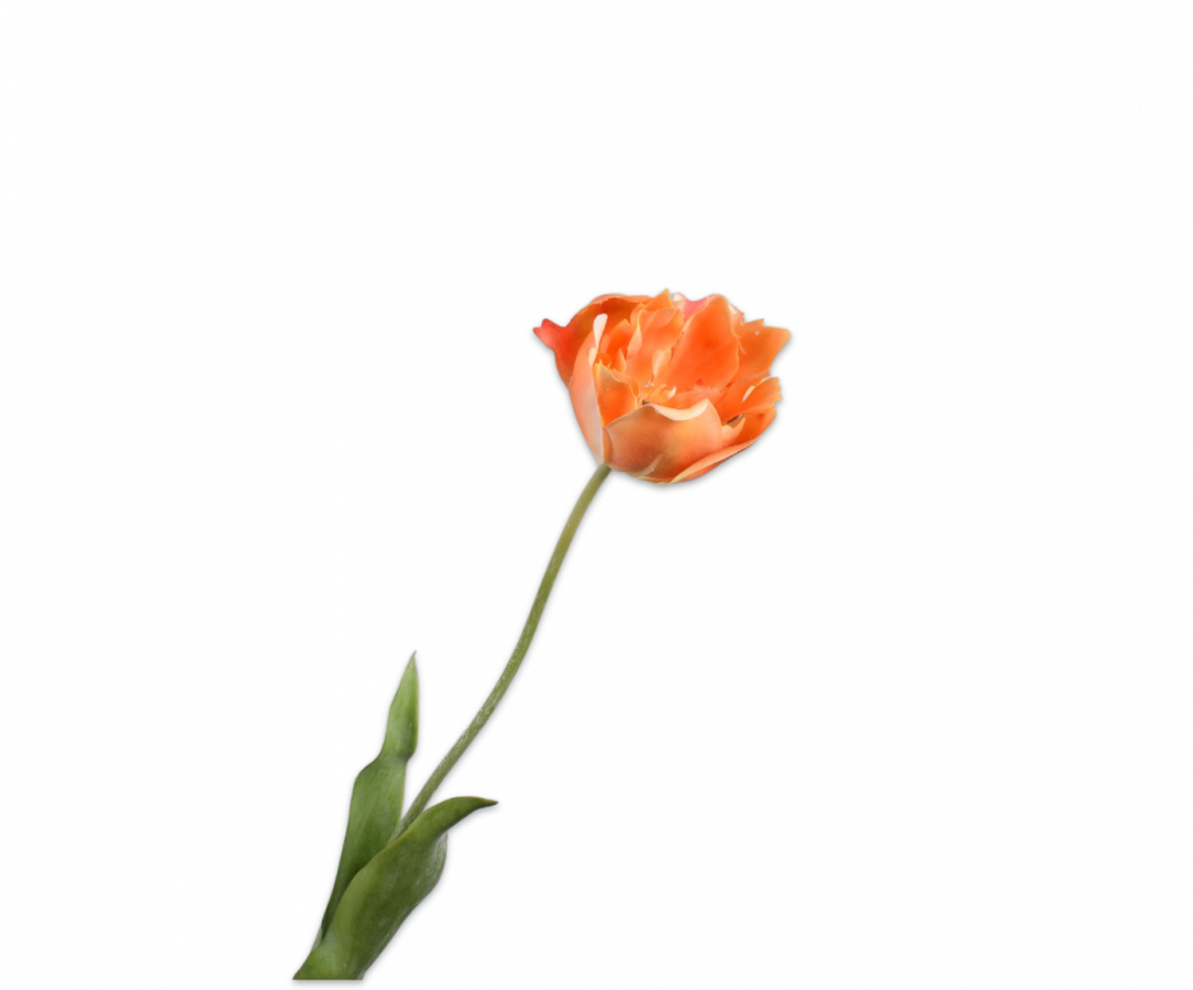 Real-touch Tulp - Oranje Open RT 72cm - BBL161454