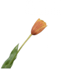 Real-touch Tulp - Oranje RT 72cm - BBL	162022