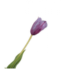 Real-touch Tulp - Paars RT 72cm - BBL162024