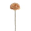 OPEN ROSE 63CM BEIGE - BBL40110053