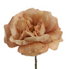OPEN ROSE 63CM BEIGE - BBL40110053
