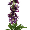 LARGE DELPHINIUM 106CM BURGUNDY - BBL40160025