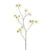 MINI COSMOS 94CM - BBL40170046