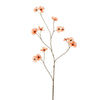 MINI COSMOS 94CM - BBL40170046