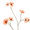 MINI COSMOS 94CM - BBL40170046