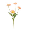 PAPAVER PASTEL 60 CM