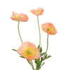 PAPAVER PASTEL 60 CM