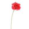 SINGLE POPPY 73CM - BBL40190012