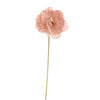 Poppy - BBL40190015
