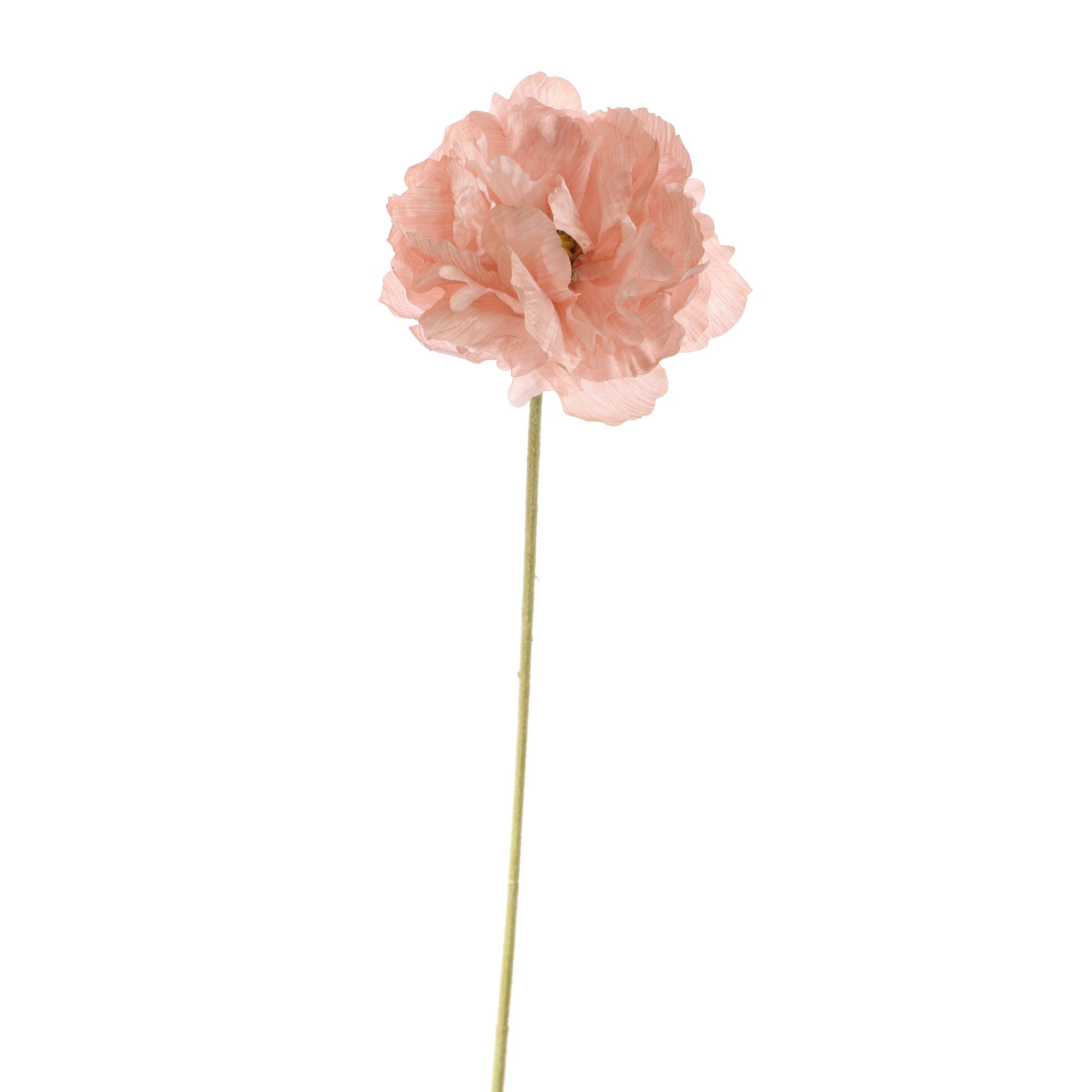 Poppy - BBL40190015