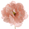 Poppy - BBL40190015