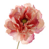 Poppy - BBL40190015