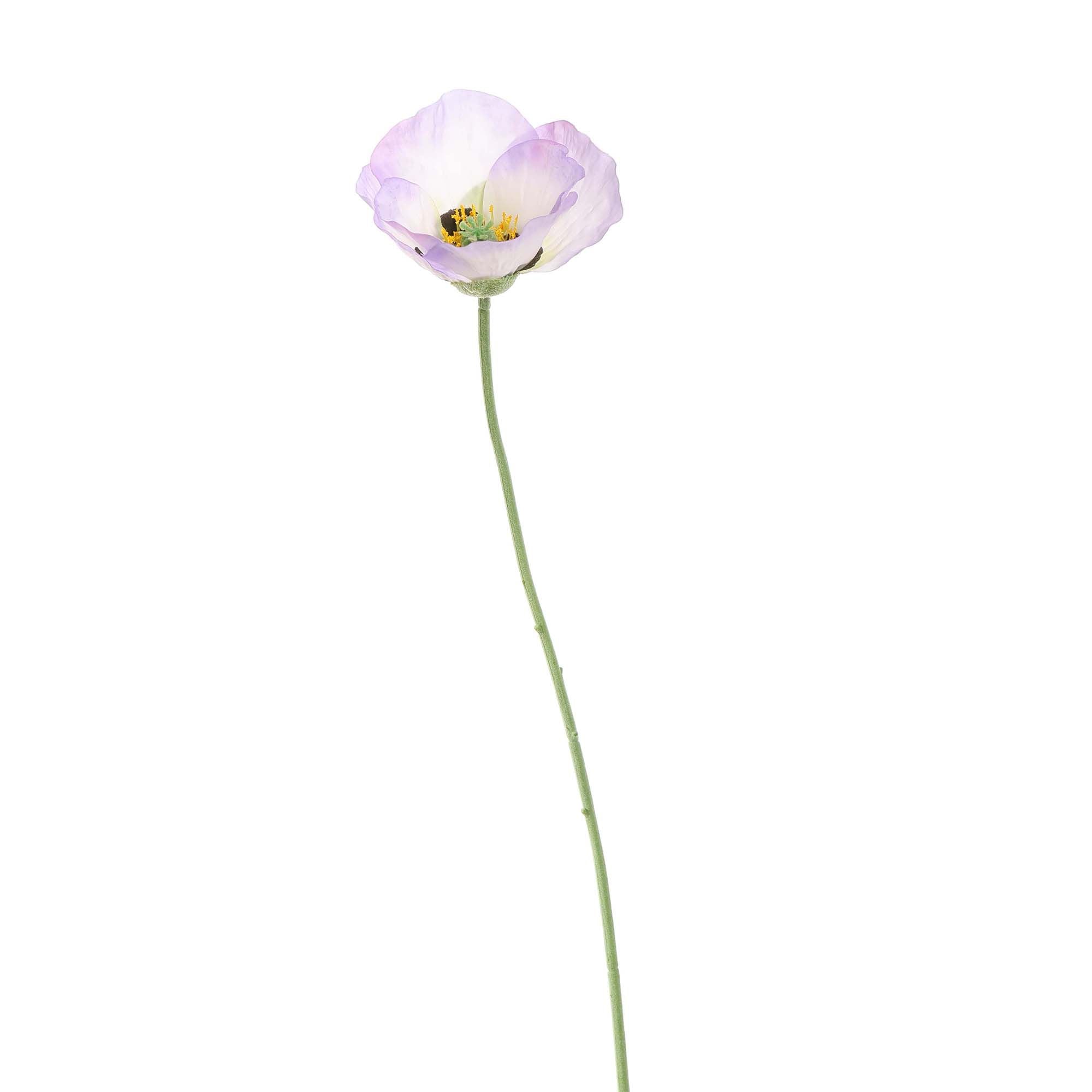 Poppy 73cm - BBL40190016