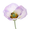 Poppy 73cm - BBL40190016