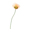 Poppy 73cm - BBL40190016