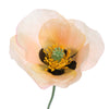 Poppy 73cm - BBL40190016