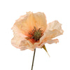 Poppy - BBL40190020