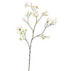 MAGNOLIA BRANCH - BBL40200007