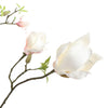 MAGNOLIA BRANCH - BBL40200007