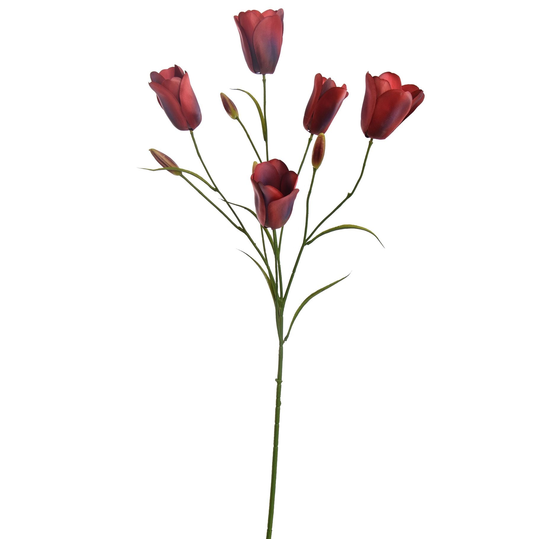 Real-touch Multi Spray Tulp Rood - BBL40210013