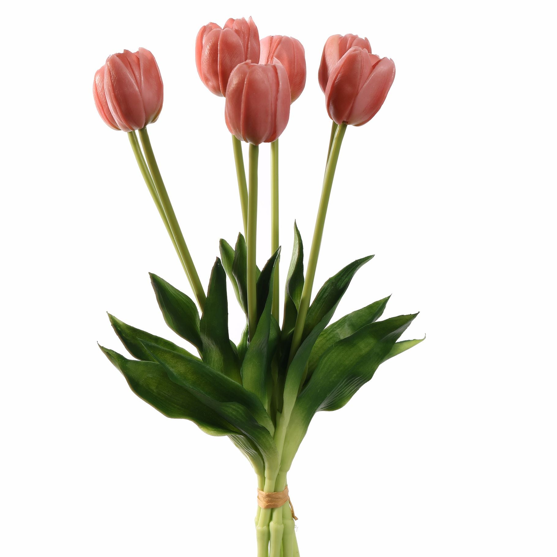 Tulpenbos 40 cm BBL40210023