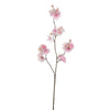 MEDIUM BLOSSOM - BBL40230010 PI