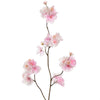 MEDIUM BLOSSOM - BBL40230010 PI