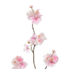 MEDIUM BLOSSOM - BBL40230010 PI