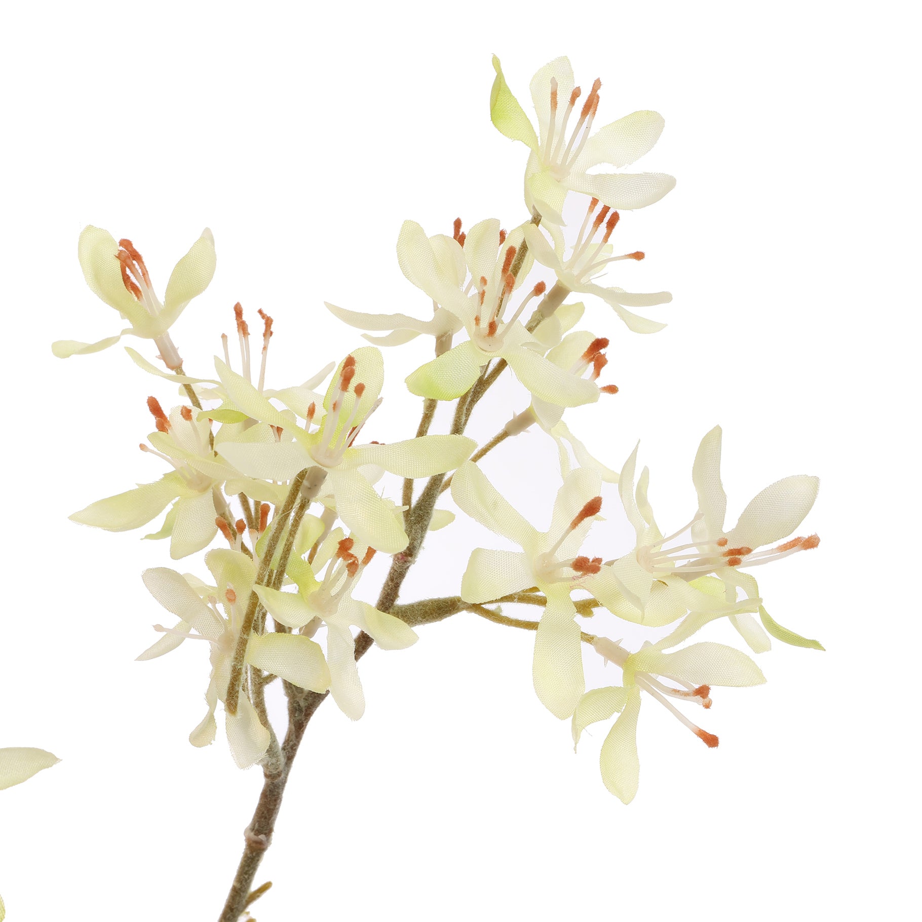 PEACH SPRAY 113CM-BBL40230026